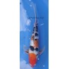 Ginrin showa voile 30-35cm